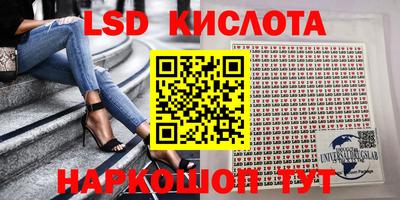 гашик Можга