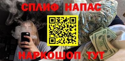 гашик Можга