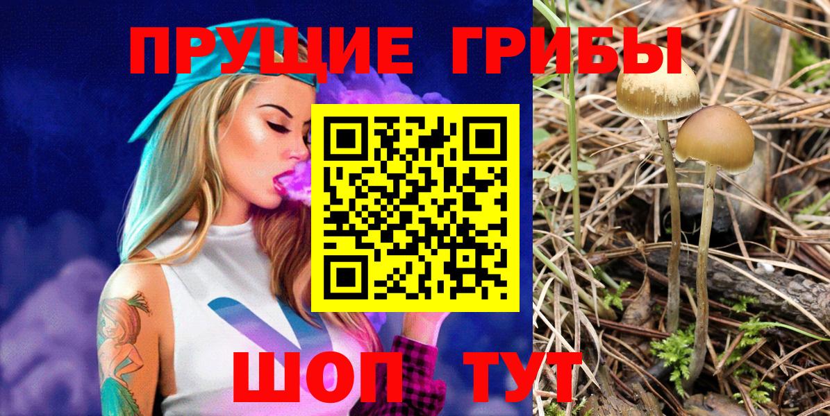 Псилоцибиновые грибы GOLDEN TEACHER  Псилоцибиновые грибы Magic Shrooms  Вход с VPN  Тара 