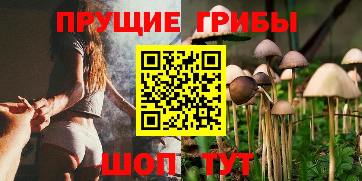 Псилоцибиновые грибы мицелий Тара