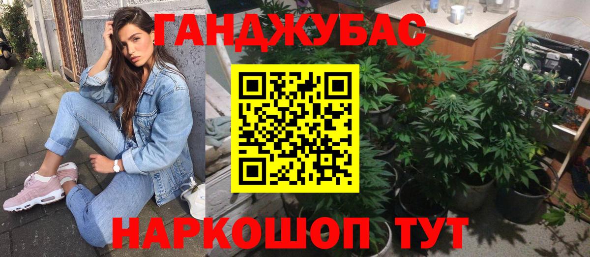 Шишки марихуана гибрид Тара